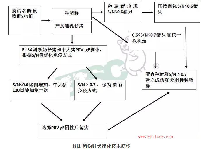 规模猪场如何净化控制疫病？空气过滤系统如何阻挡蓝耳病毒株呢？